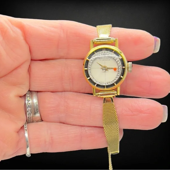 Vintage Brichot 17 Jewel Swiss Manuel Wind Watch & Gold Mesh Band